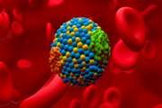  نتایج اولیه ژن‌درمانی هدف‌گیرنده PCSK9 در درمان کلسترول بالای خون امیدوارکننده است
