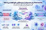 Prime Assembly؛ روش جدید ویرایش ژن برای جایگزینی دقیق قطعات بزرگ DNA