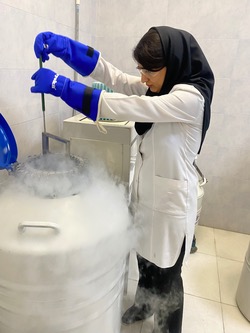 آزمایشگاه فرآوری و انجماد سلول