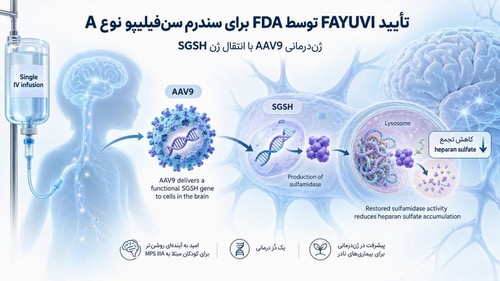 FDA نخستین ژن‌درمانی برای سندرم Sanfilippo نوع A را تأیید کرد 